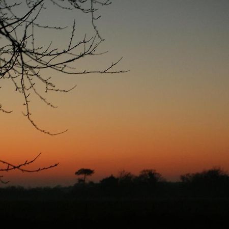 Gîte Le Coucher de soleil Plessé Extérieur photo