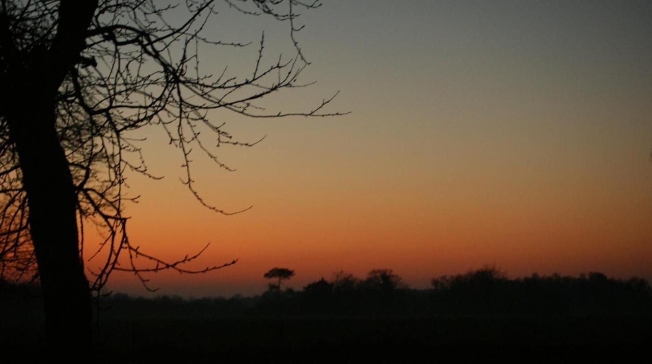 Gîte Le Coucher de soleil Plessé Extérieur photo